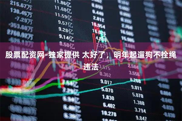 股票配资网-独家提供 太好了，明年起遛狗不拴绳违法