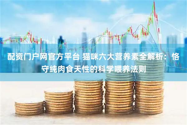 配资门户网官方平台 猫咪六大营养素全解析：恪守纯肉食天性的科学喂养法则