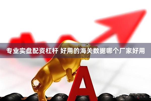 专业实盘配资杠杆 好用的海关数据哪个厂家好用