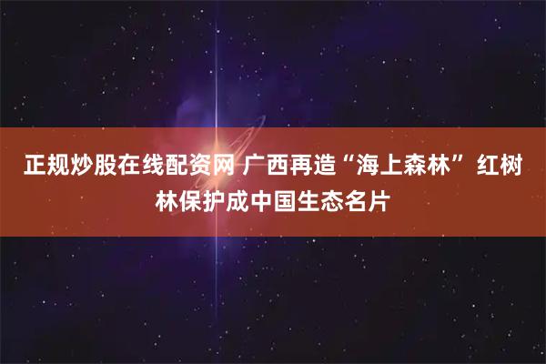 正规炒股在线配资网 广西再造“海上森林” 红树林保护成中国生态名片