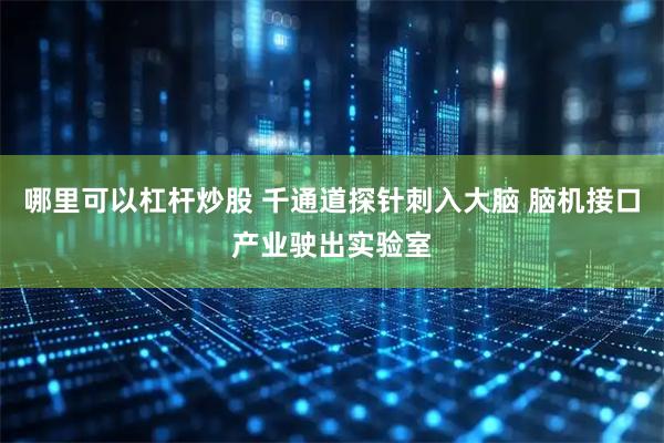 哪里可以杠杆炒股 千通道探针刺入大脑 脑机接口产业驶出实验室